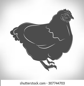 poultry. chicken bird. butcher shop. 