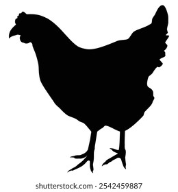 Pollo de aves de corral silueta negra aislada sobre fondo blanco. Icono de Vector de pollo