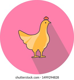 poultry chicken icon. vector graphics