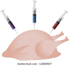 Poultry Chicken Injected with Syringes of Hormones Steroids and Antibiotics Illustration Isolated on White Background Vector