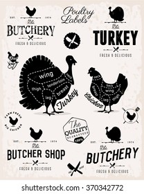 Poultry Cuts Diagram and Butchery Design Elements in Vintage Style