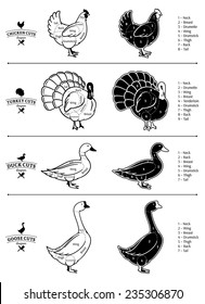 Poultry Cuts Diagrams