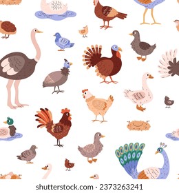 Poultry and domestic birds seamless pattern. Cute different farm birds goose, duck, peacock, pheasant and ostrich. Vector cartoon rooster hen, turkey, pigeon illustration on white