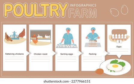 Producción de huevos de fábrica de aves de corral infografía plana con pollos de engorde clasificación y envasado ilustraciones vectoriales