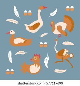 Poultry farm banner or flyer. Set of isolated birds icons in flat decision. Logo of organic products.  Vector illustration eps 10