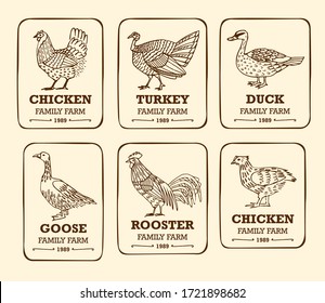 Poultry farm birds illustration. Hand drawn vector chicken, hen, turkey, goose, duck, rooster isolated on light background. Domestic birds stamps in vintage style. Farm logo templates.