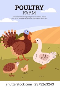 Poultry farm cartoon vector poster. Turkey, chicken, goose and quail on the lawn. Country animal for food, aviculture. Natural eco countryside pets illustration