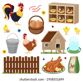 Poultry farm elements set with owner birds barn coop roost chicken meat and eggs. Chicken coop with many chicks