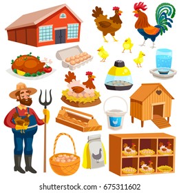 Poultry farm elements set with owner  birds barn coop roost chicken meat and eggs isolated vector illustration