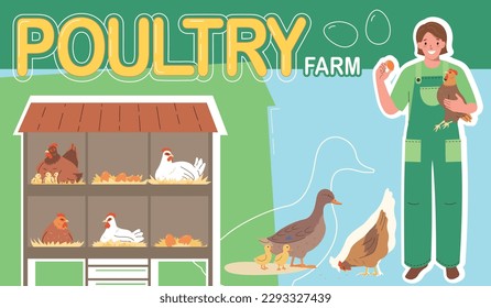 Poultry farm flat color collage with domestic birds nests and female worker holding hen and egg vector illustration