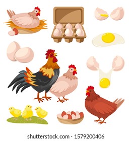 Poultry farm and fresh eggs icons. Hen, rooster and little chicken design elements, isolated on white background. Vector flat cartoon illustration.