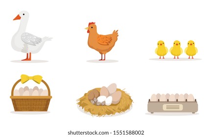 Poultry Farm With Goose, Hen, Three Little Baby Birds And Different Eggs Vector Illustration Set Isolated On White Background