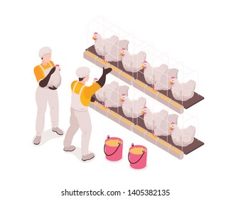 Poultry farm production workers in chicken stable checking and feeding birds collecting eggs isometric composition vector illustration 