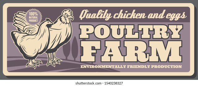 Poultry farm products vintage retro vector poster. Natural organic and healthy poultry farm food production of chicken meat and eggs, farmer shop and high quality product package