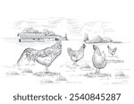 Poultry farm. Rural landscape with hens and rooster on meadow. Hand-drawn vector illustration in linear style