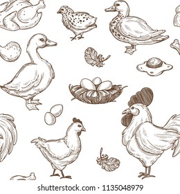 Poultry farm vector seamless sketch pattern background