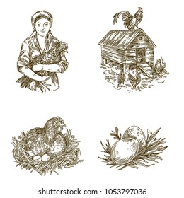 Poultry farm. Vintage set of elements. Woman with chicken, hen in nest, chicken house and eggs. Engraving style. Vector illustration.