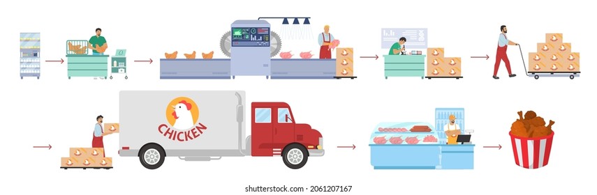 Poultry farming, chicken meat production infographic, flat vector illustration. Chicken factory processing line. Distribution, sale, consumption. Food industry.