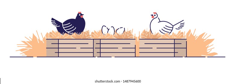 Poultry farming flat vector illustration. Organic animal agriculture, hennery. Chicken farm cartoon concept with outline isolated on white background. Hens carrying eggs in nests, chicken coop