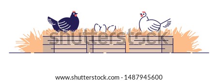 Poultry farming flat vector illustration. Organic animal agriculture, hennery. Chicken farm cartoon concept with outline isolated on white background. Hens carrying eggs in nests, chicken coop