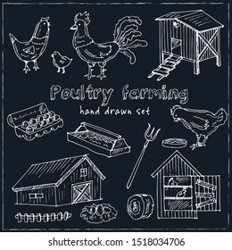 Poultry farming  hand drawn doodle seamless pattern. Vector illustration. Isolated elements on white background. Symbol collection.