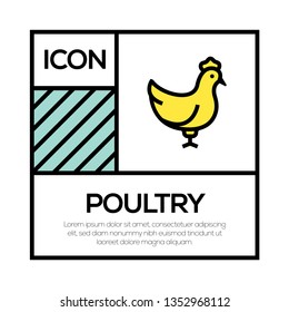 POULTRY ICON CONCEPT