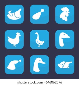Poultry icon. set of 9 filled poultry icons such as chicken, goose, rooster