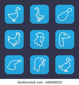 Poultry icon. set of 9 outline poultry icons such as goose, rooster, chicken, turkey