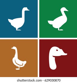 Poultry icons set. set of 4 poultry filled icons such as 