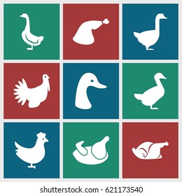 Poultry icons set. set of 9 poultry filled icons such as chicken, goose, meat leg