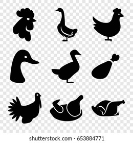 Poultry icons set. set of 9 poultry filled icons such as chicken, goose, rooster, meat leg