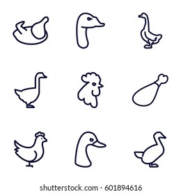 poultry icons set. Set of 9 poultry outline icons such as goose, rooster, chicken