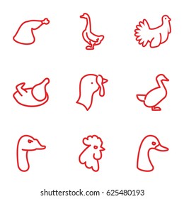 Poultry icons set. set of 9 poultry outline icons such as goose, rooster, chicken, turkey
