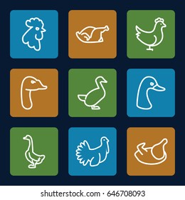 Poultry icons set. set of 9 poultry outline icons such as goose, rooster, chicken