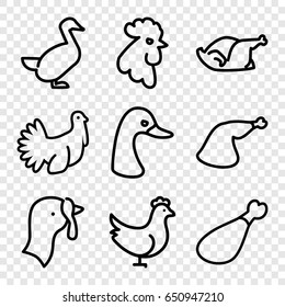 Poultry icons set. set of 9 poultry outline icons such as goose, rooster, chicken, turkey