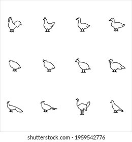 Poultry icons set vector graphic illustration