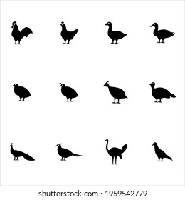 Poultry icons set vector graphic illustration