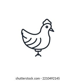 poultry icons  symbol vector elements for infographic web
