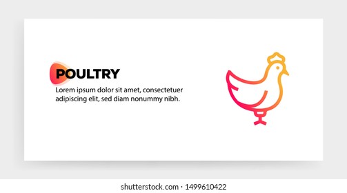 POULTRY AND ILLUSTRATION ICON CONCEPT