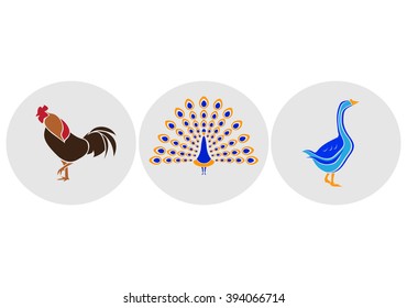 poultry logo