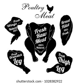 Poultry meat icons with letter decoration. Fresh raw chicken. Hand drawn silhouette vector illustration