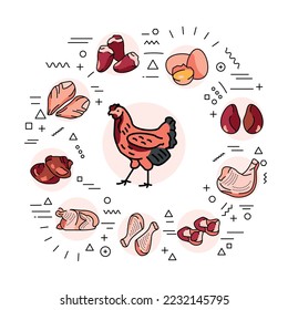 Poultry meat web banner. Infographics with linear icons on white background. Creative idea concept.