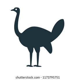Poultry Ostrich Icon
