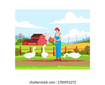 Poultry pasture on farmland semi flat vector illustration. Local production of domestic bird. Woman feeding geese. American farm. Female farmer 2D cartoon characters for commercial use