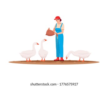 Poultry pasture semi flat RGB color vector illustration. Local production of domestic bird. Woman feeding geese. American farm. Female farmer isolated cartoon character on white background