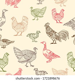 Poultry seamless pattern. Linear vector hand drawn illustration. Vintage provence texture with colorful birds isolated on beige background. Retro graphic for textile, print, packaging design.