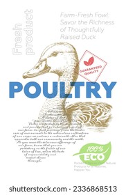 Poultry shop poster. Vintage sketch duck with promo text. Butcher market retro print. Butchery label creative typography template. Natural farm meat product placard engraving drawing vector artwork
