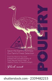 Poultry shop poster. Vintage sketch ostrich on colored background. Butcher market promo print. Butchery label creative typography template. Natural farm meat placard. Engraving drawing vector artwork