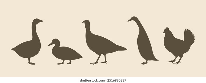 Poultry silhouette. Isolated  poultry on vintage  background