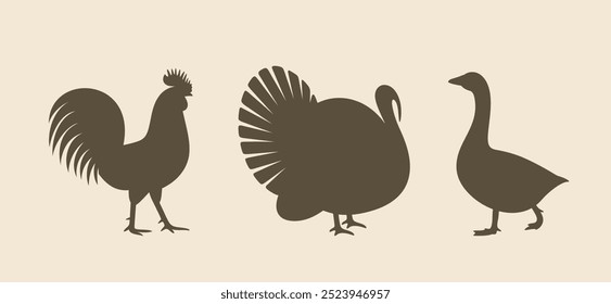 Poultry silhouette. Isolated  poultry on vintage  background